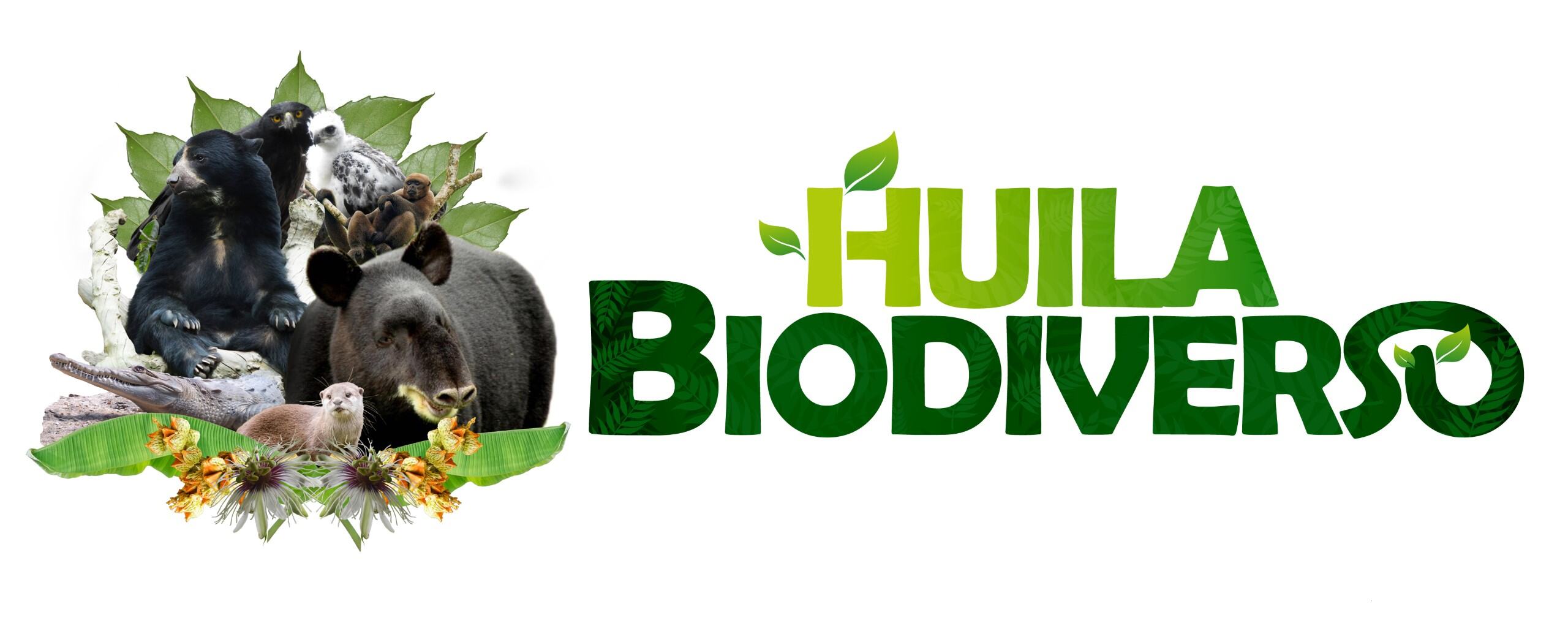 Logo Huila Biodiverso