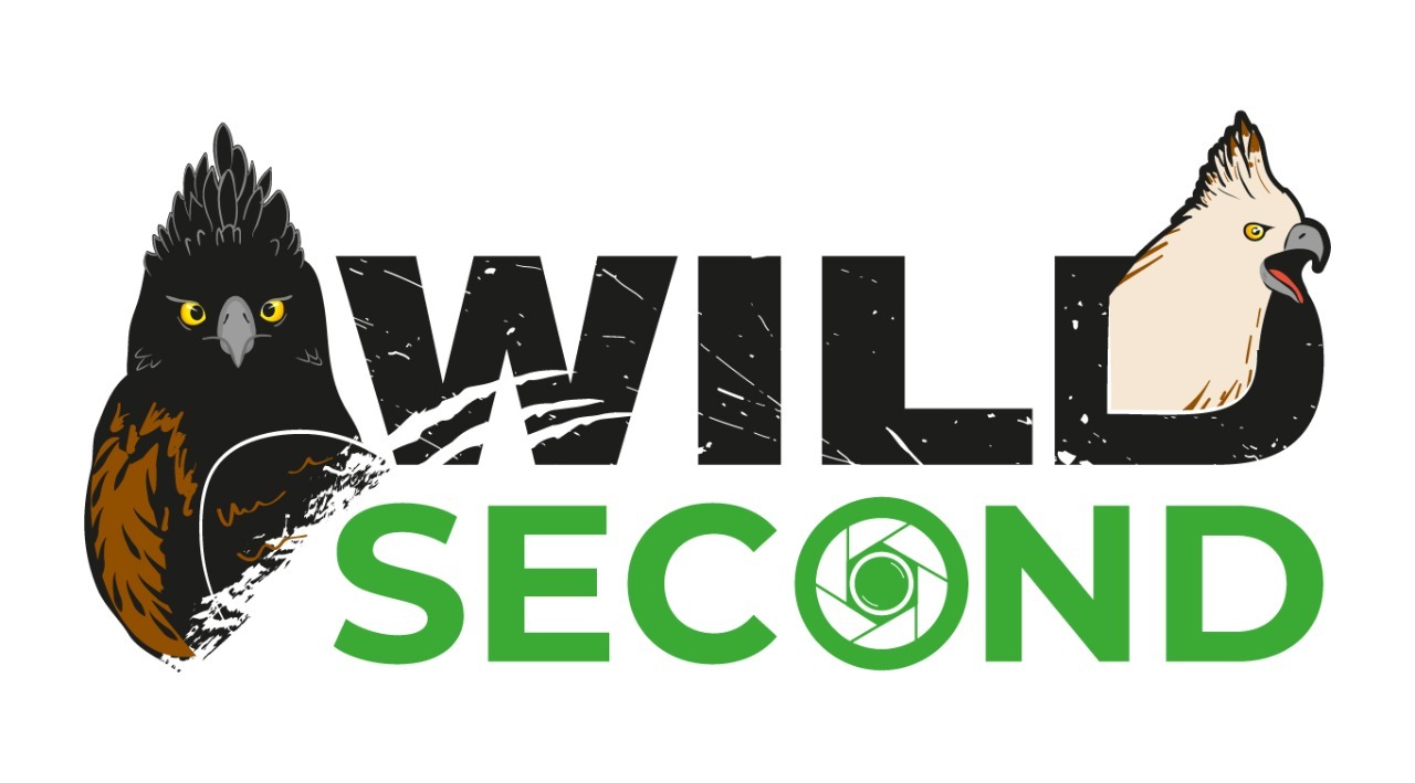 Logo Wild Second