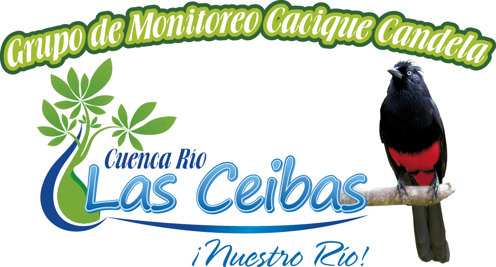 Logo Cacique Candela Ceibas