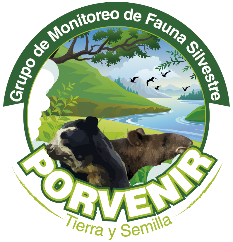 Logo Porvenir