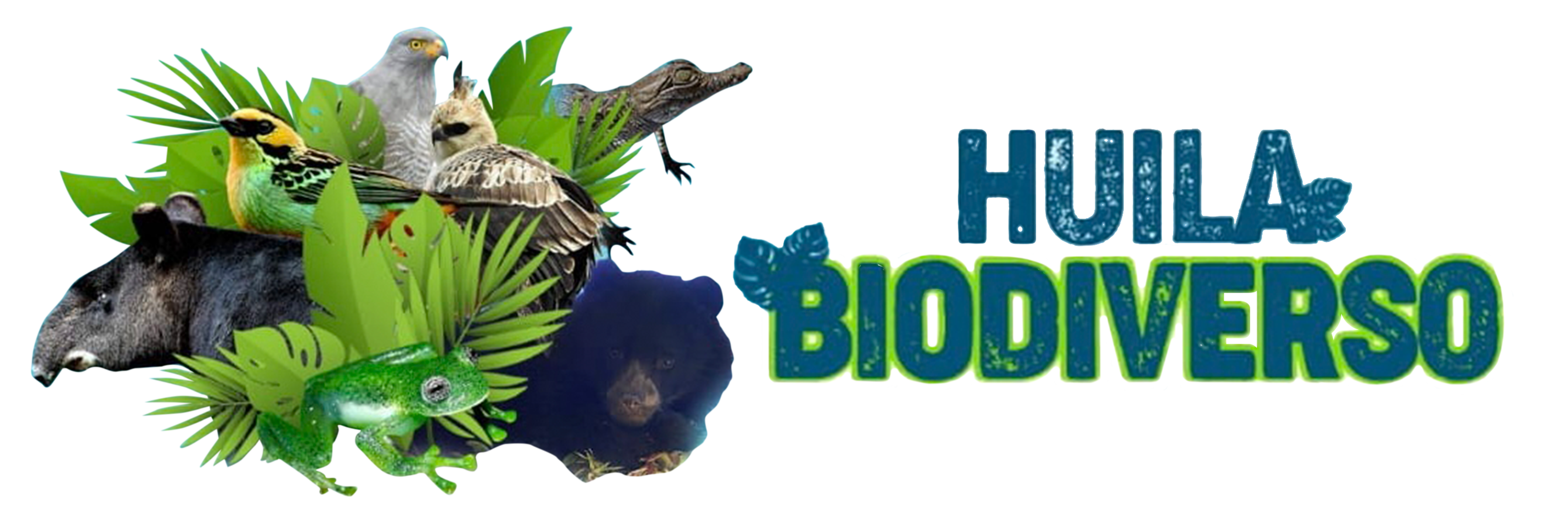 Logo Huila Biodiverso