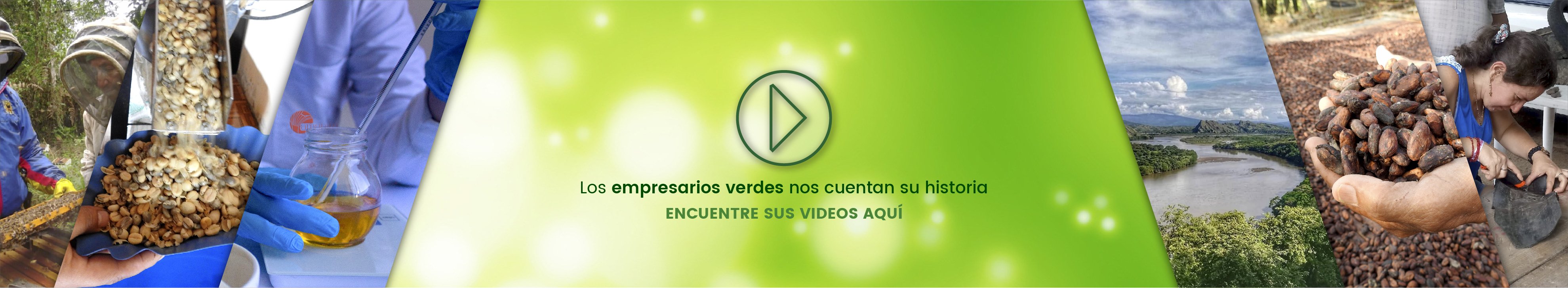 Lista Reproducción Negocios Verdes